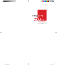 中華民國紅十字會2013年報