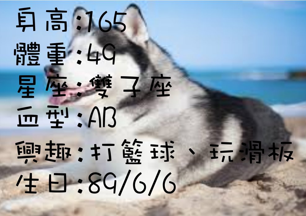 13-內頁