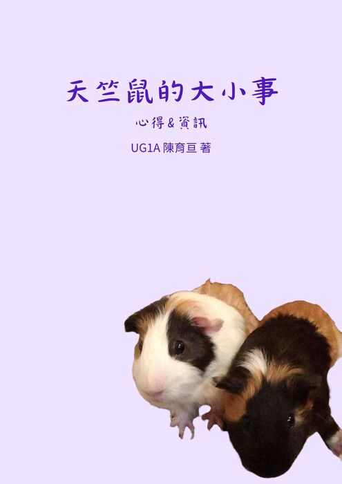 天竺鼠的大小事 (4)