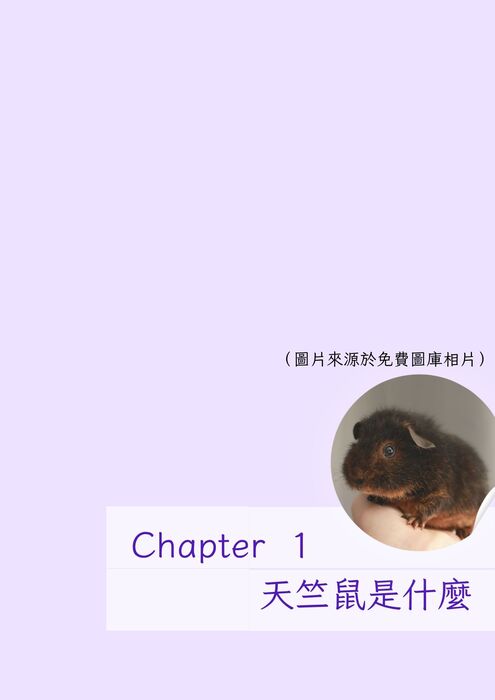 天竺鼠的大小事 (7) 天竺鼠的大小事 (7)