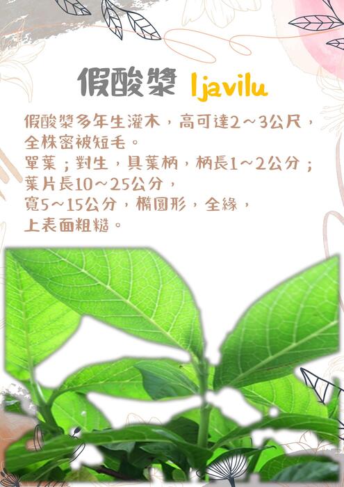 電子書｜傳統醫療保健