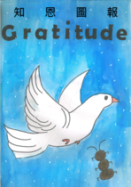 Gratitude 知恩圖報