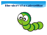 The story of caterpillar