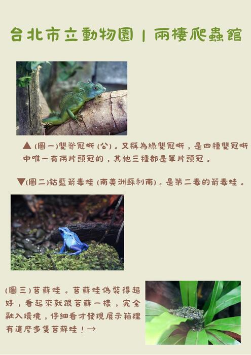 跟 我 一 起