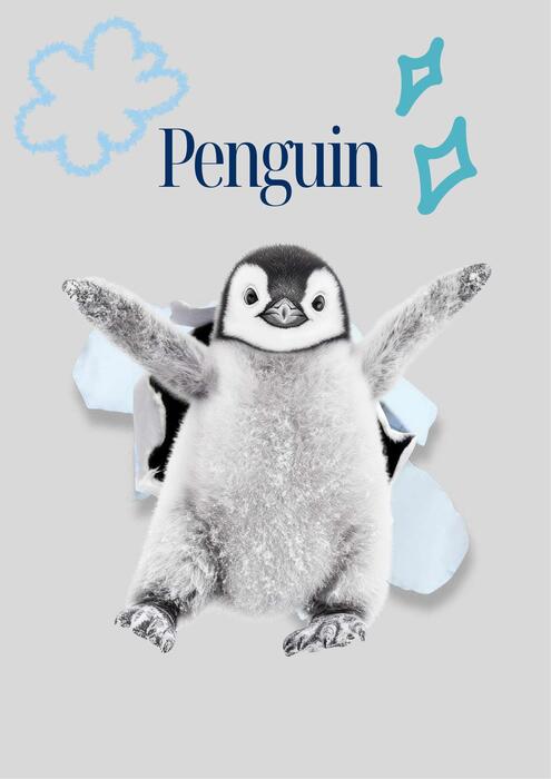 shtcs voices 2026 林思彤、徐莙珺 、彭梓妮、李祖君、鄭允瑄_compressed