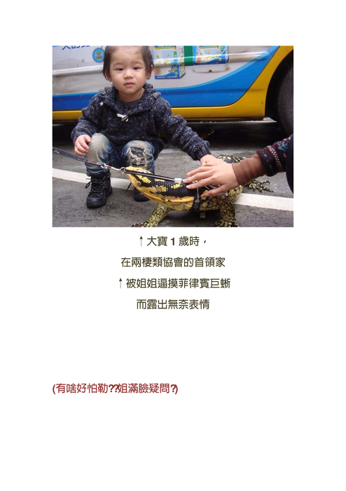 大寶123成長照4