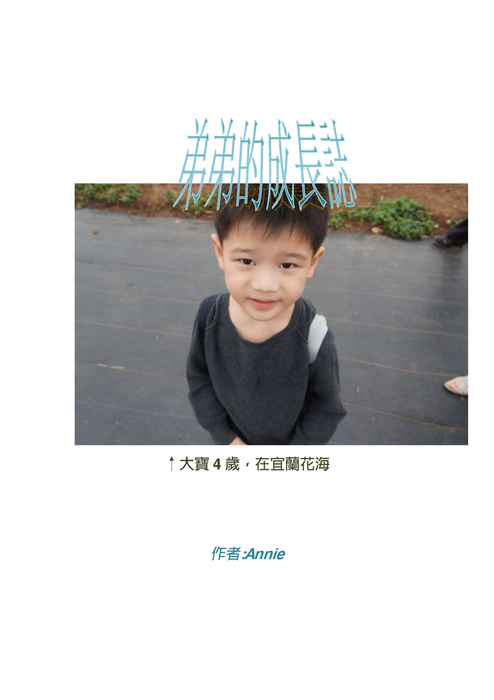 弟弟的成長誌 封面