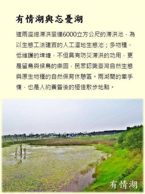 投影片6