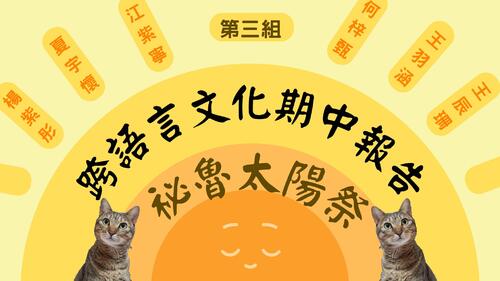 祕魯太陽祭 (1)