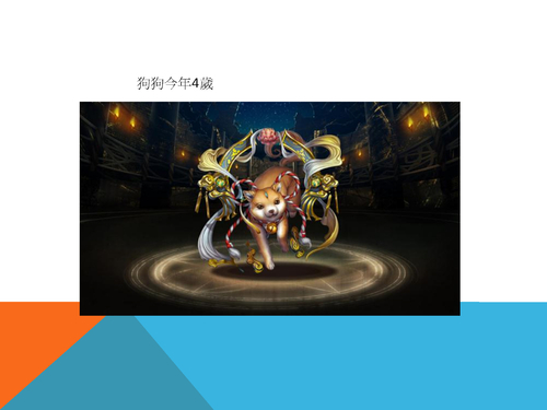 我家狗狗