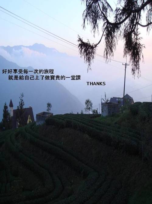 投影片7