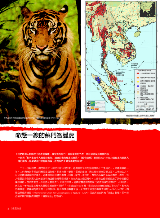 紙猛於虎報告書