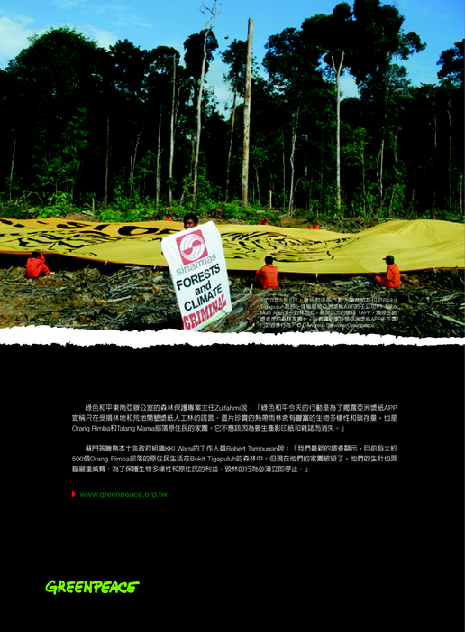 紙猛於虎報告書