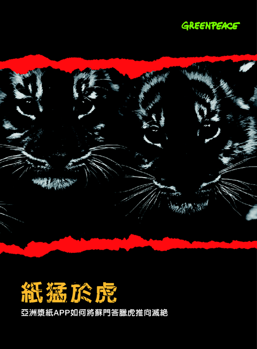紙猛於虎報告書 紙猛於虎報告書