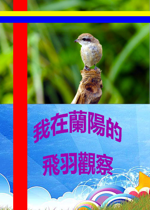 封面 封面