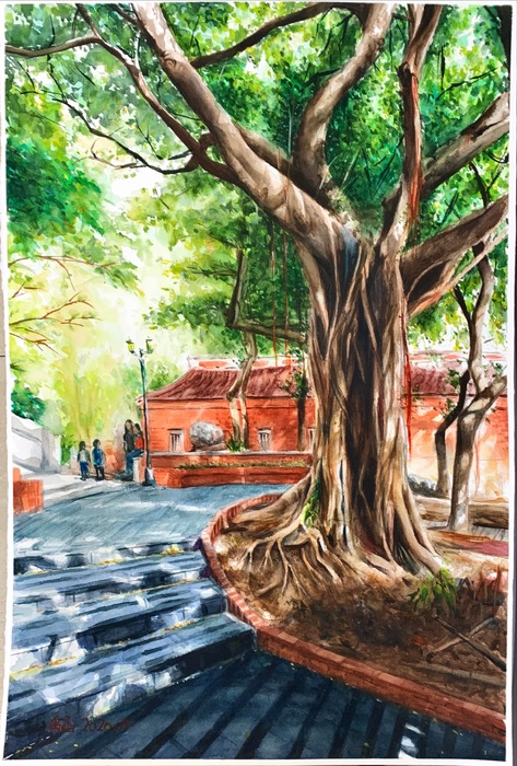 林禹函 - 庇蔭