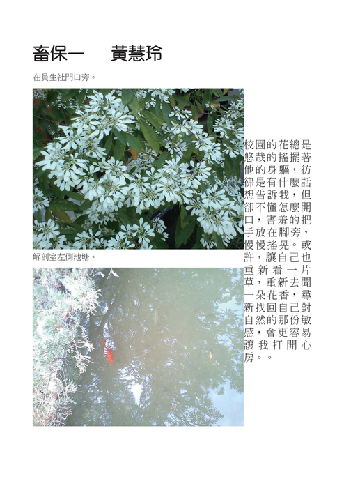 校園最美的一角