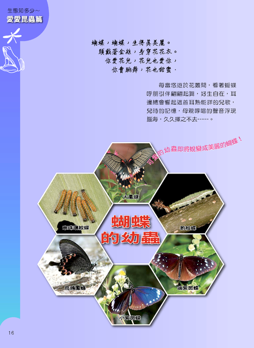 p16--17 愛愛昆蟲篇 單頁 1 p16--17 愛愛昆蟲篇 單頁 1