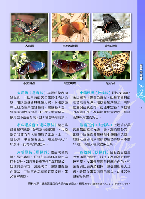 p16--17 愛愛昆蟲篇 單頁 1