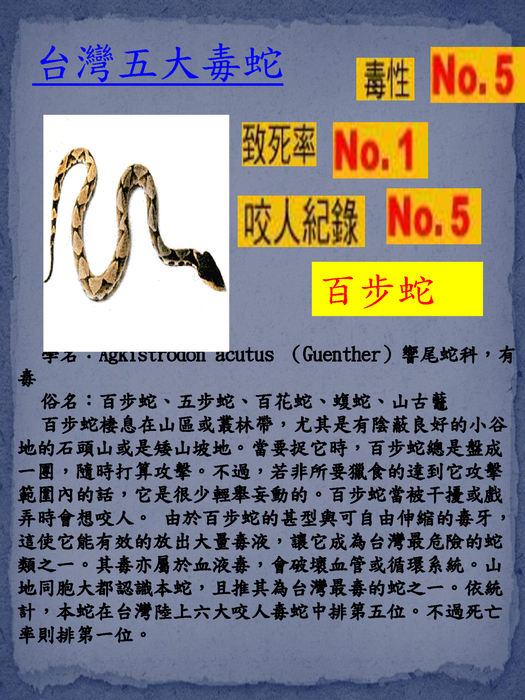 蛇方夜譚emily working 直式pdf