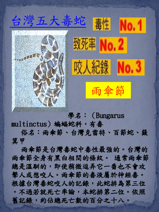 蛇方夜譚emily working 直式pdf