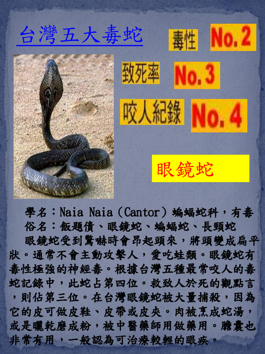 蛇方夜譚emily working 直式pdf
