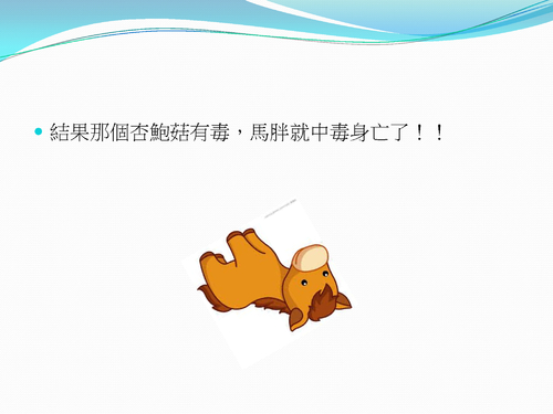 一匹愛吃杏鮑菇的