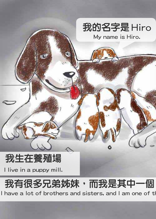 請給我一個家 26號(作業) ~29