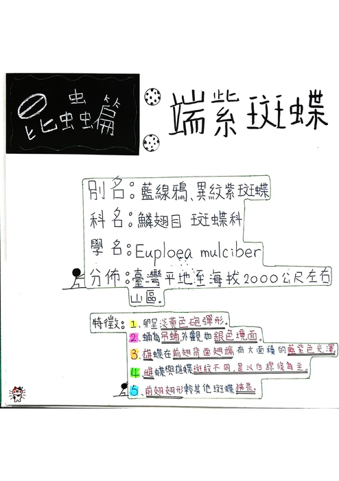 謝岑宣