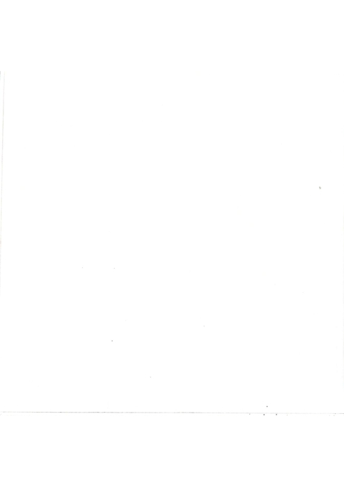 謝岑宣