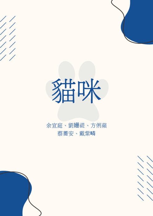 貓咪