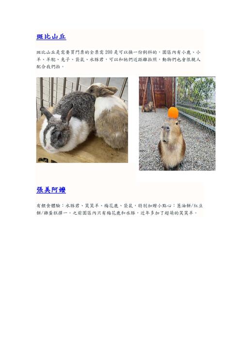 斑比山丘