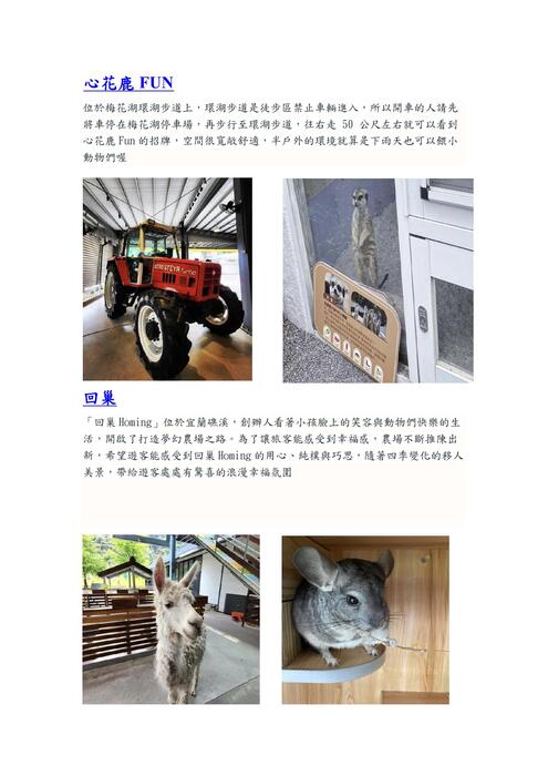 斑比山丘