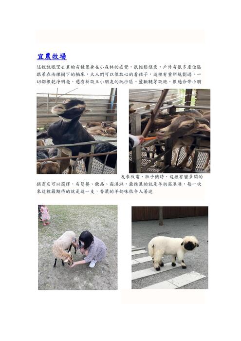 斑比山丘