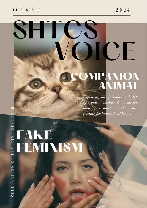 shtcs voice-a組 shtcs voice-a組