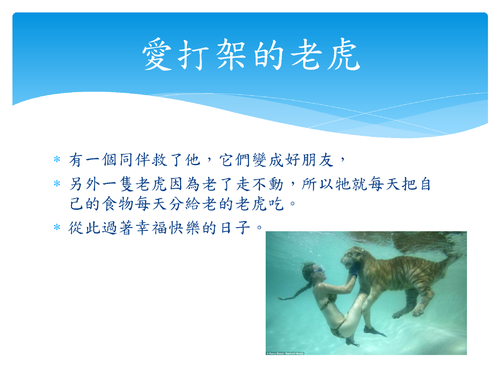 劉茗瑋