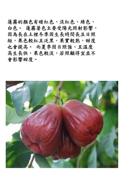 簡報