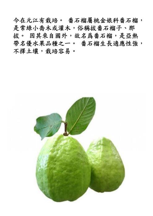 簡報