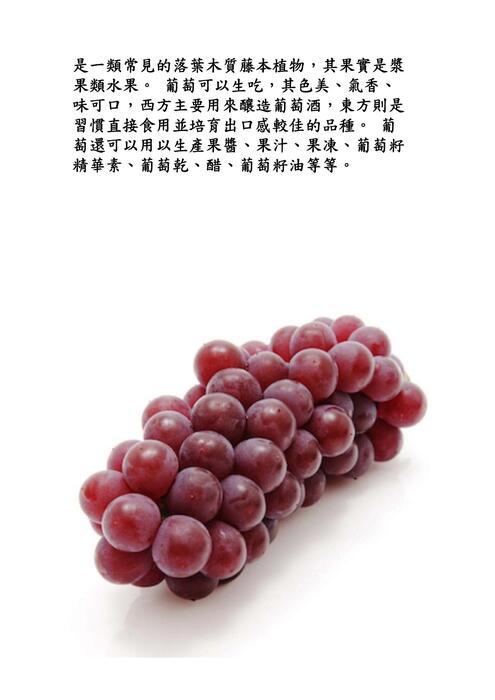 簡報