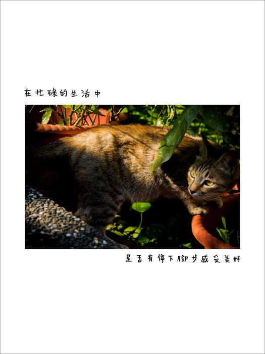 朱家芸 期未電子書_compressed