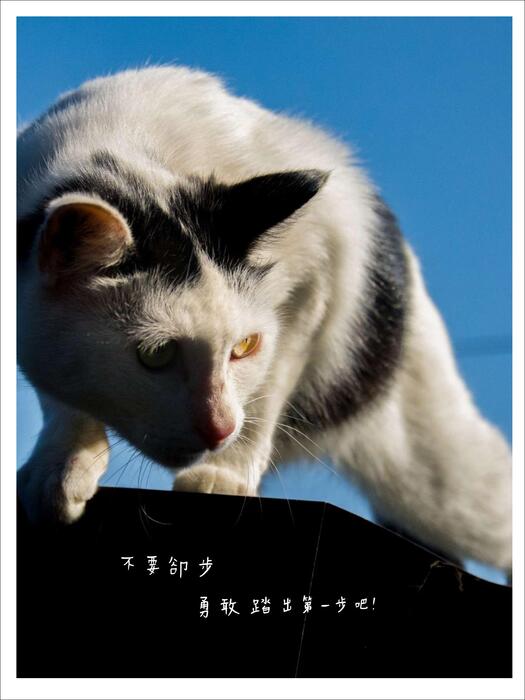 朱家芸 期未電子書_compressed