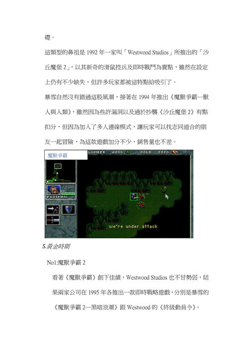 知名美國遊戲公司