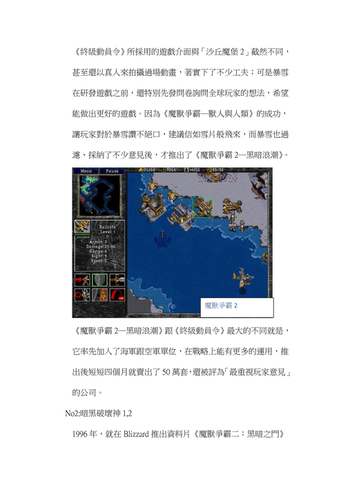 知名美國遊戲公司