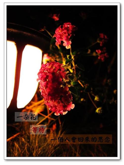 投影片4