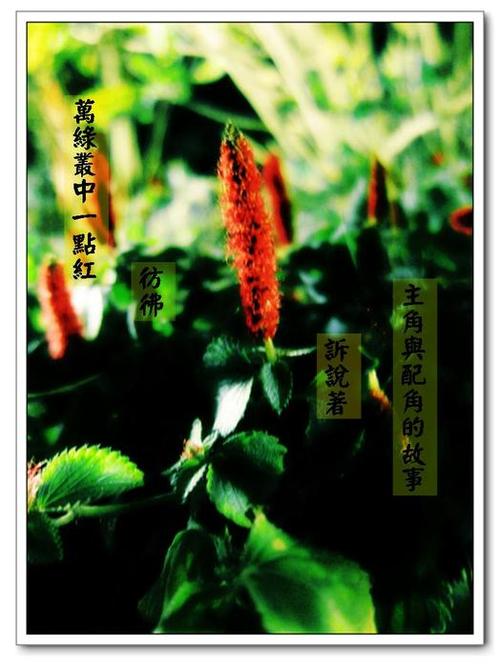 投影片6