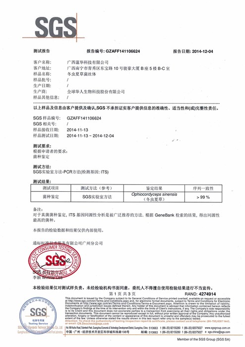 dongchongxiacao-yuantai dongchongxiacao-yuantai