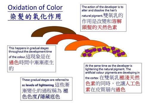 投影片5 投影片5