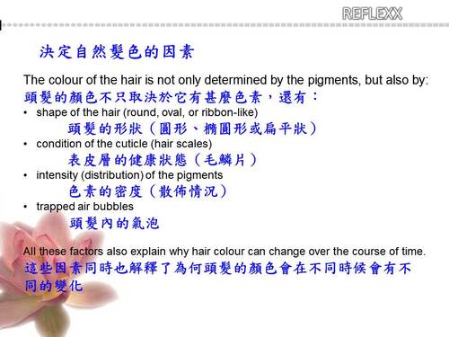 投影片6 投影片6