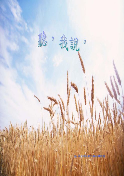聽，我說。