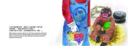 毛毛找新家(雙面)_頁面_04